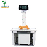 Ysdr-Vet200 Medical Device X Ray Equipment Digital X Ray Machine Dr